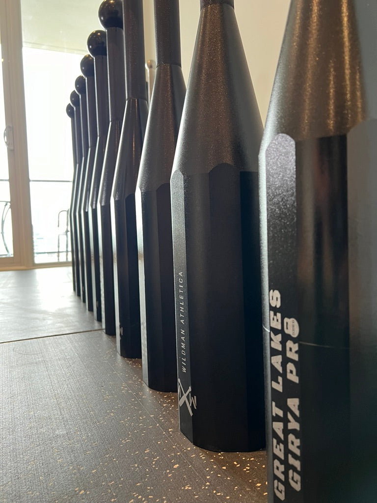 E-Coated Heavy Hex Clubbells